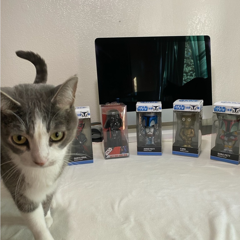 Star Wars Bobbleheads Bundle